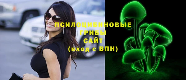 амф Сосновка