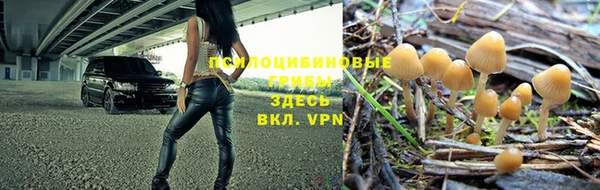 круглые Сосновый Бор