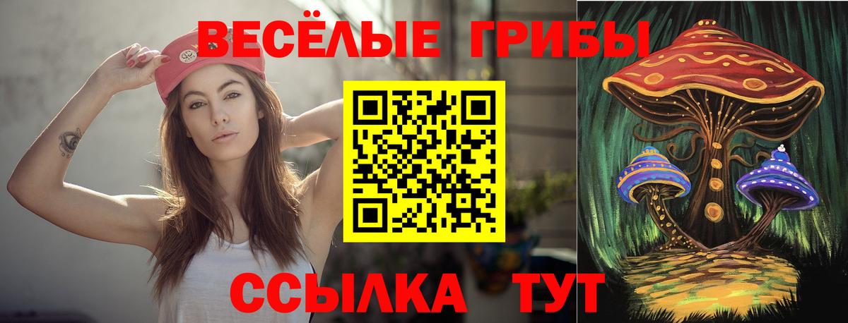 Псилоцибиновые грибы MAGIC MUSHROOMS  Вход с VPN  Галлюциногенные грибы GOLDEN TEACHER  даркнет сайт  Белово 
